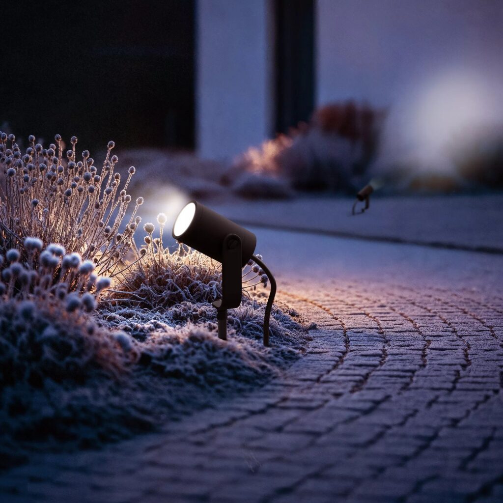 Giardino di sera con i proiettori Philips Hue Lily accesi sulle piante